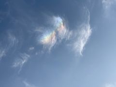 -西青郊野公园