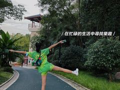 -龟山风景区-龟山电视塔