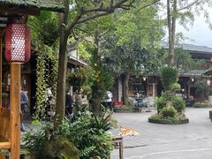 -青城甲(青城山店)