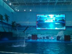 -多彩贵州城极地海洋世界