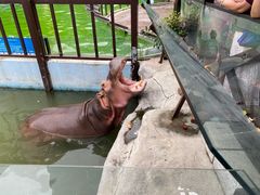 -灵玲国际马戏城