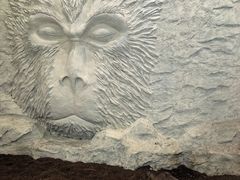 -龙湖重庆时代天街