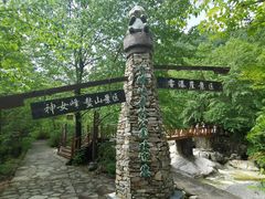 -青峰峡国家森林公园