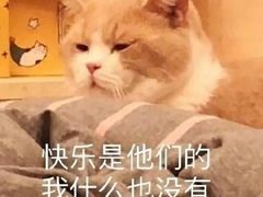 -泰熙家(金港国际店)
