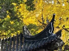 -郑和公园