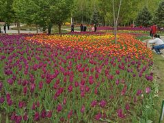 -长春公园(普阳街道)