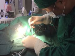 -圣宠动物医院·犬猫专科·影像中心·外科中心
