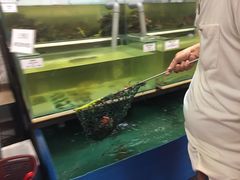 -ZF Seafood Restaurant 卓峰海鲜餐