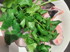 -老凯俚酸汤鱼(多彩城店)