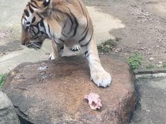 -上方山森林动物世界