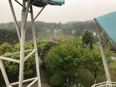 -铁山坪森林公园