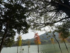 -凤岗南门山森林公园
