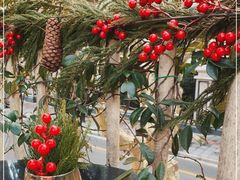 -Ginger(兴国路店)