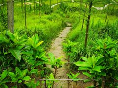 -南汇嘴观海公园