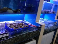 水产区-老虎滩大连海鲜烧烤(建邺云锦路总店)