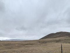-墨石公园景区