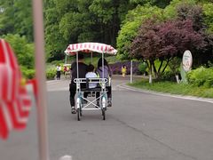 -重庆长寿碧桂园凤悦凤凰酒店