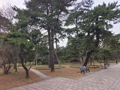 -沈阳市东陵公园