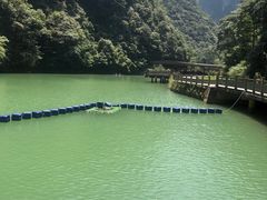 -神龙峡风景区