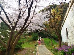-苏州上方山国家森林公园