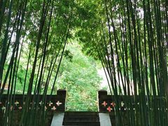 -泰山风景名胜区-普照寺