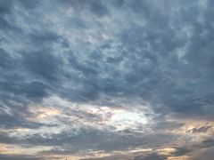 -九里湖国家湿地公园