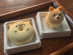 -柴犬高等学院·狗咖·柴犬售卖·宠物训练