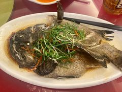 清蒸龙胆鱼-平潭宝汇大酒楼(平潭店)