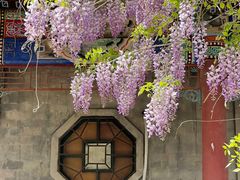 -北京市劳动人民文化宫(太庙)