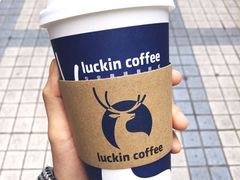 -瑞幸咖啡(广东外经贸大厦店)