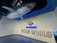 -重庆欢乐海底世界