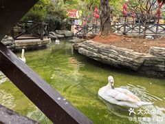 -灵玲国际马戏城
