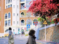 -小南山公园