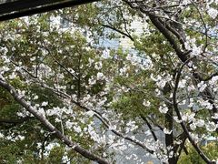 -玛格萝妮比萨屋(四平店)