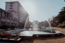 -华东饭店·园林式婚礼宴会厅酒店