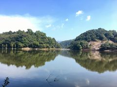 -广州市石门国家森林公园