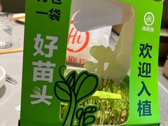 -海底捞火锅(江南盛天地店)