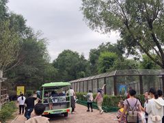 -青藏高原野生动物园