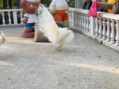 -金庭庄园酒店-停车场