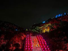 -印象普陀