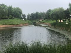 -莫子山公园
