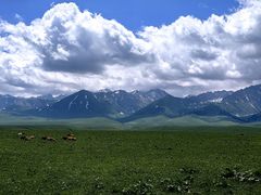 -新疆那拉提国家旅游度假区
