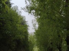 -王顺山国家森林公园