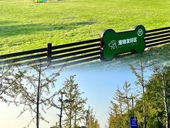 -嘉北郊野公园