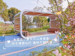 -贡湖湾湿地公园