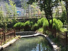 -十渡高山漂流