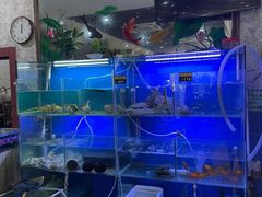 水产区-金龙·打边炉(武进路店)