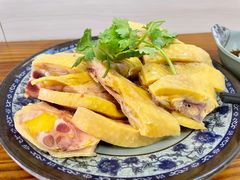 -九斤黄三黄鸡专卖店