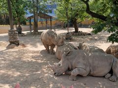 -西安秦岭野生动物园