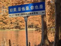 -上海海湾国家森林公园